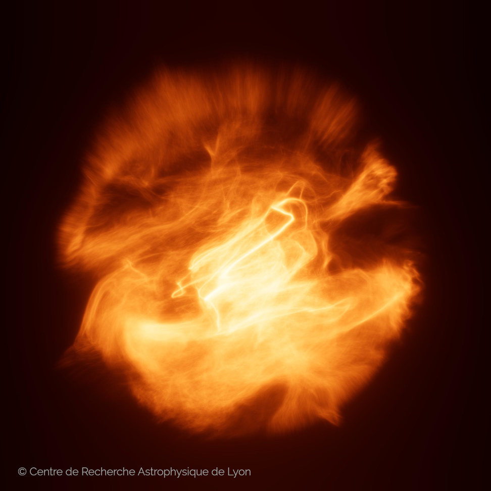 Magnetism of a nascent brown dwarf
